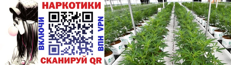 Цена Краснокаменск Гашиш  СК  МЕФ  МАРИХУАНА  COCAIN 